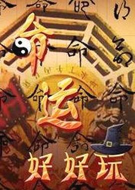 界首专业的seo优化